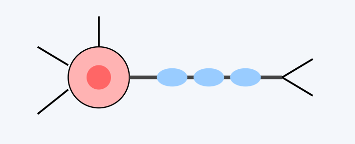 Biomedical Engineering